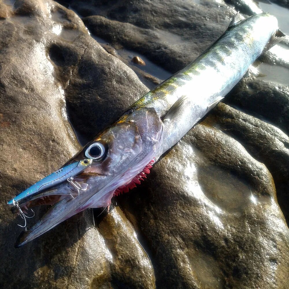 GOBAIT VIB Fishing Lure 20g 25 - đánh giá và giá Fishing Lure Blade Bait
